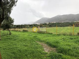 Οικόπεδο 40.000 τ.μ. για ενοικίαση