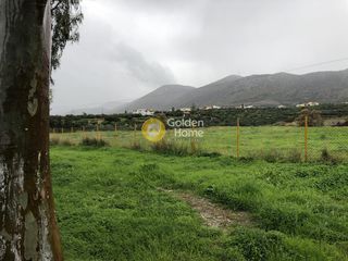 Οικόπεδο 40.000 τ.μ. για ενοικίαση, Ν. Ηρακλείου, Χερσόνησος-thumb-2