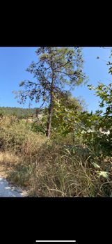 Parcel 1.143 sqm for sale