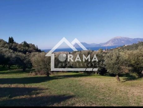 Αγροτεμάχια 10.500τ.μ. για πώληση-Πάτρα » Συχαινά