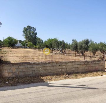 Αγροτεμάχια 20.000τ.μ. για ενοικίαση-Σαλαμίνα » Άνω βασιλικά