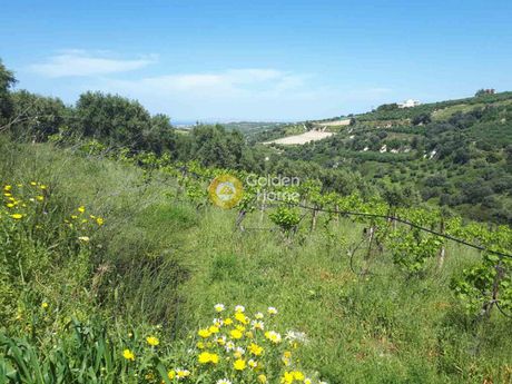 Οικόπεδο 5.860τ.μ. για πώληση-Ηράκλειο κρήτης » Βούτες