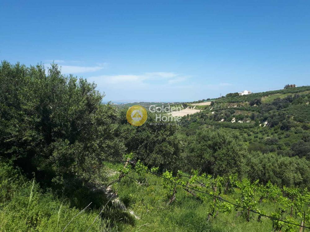 Οικόπεδο 5.860 τ.μ. προς πώληση, Βούτες