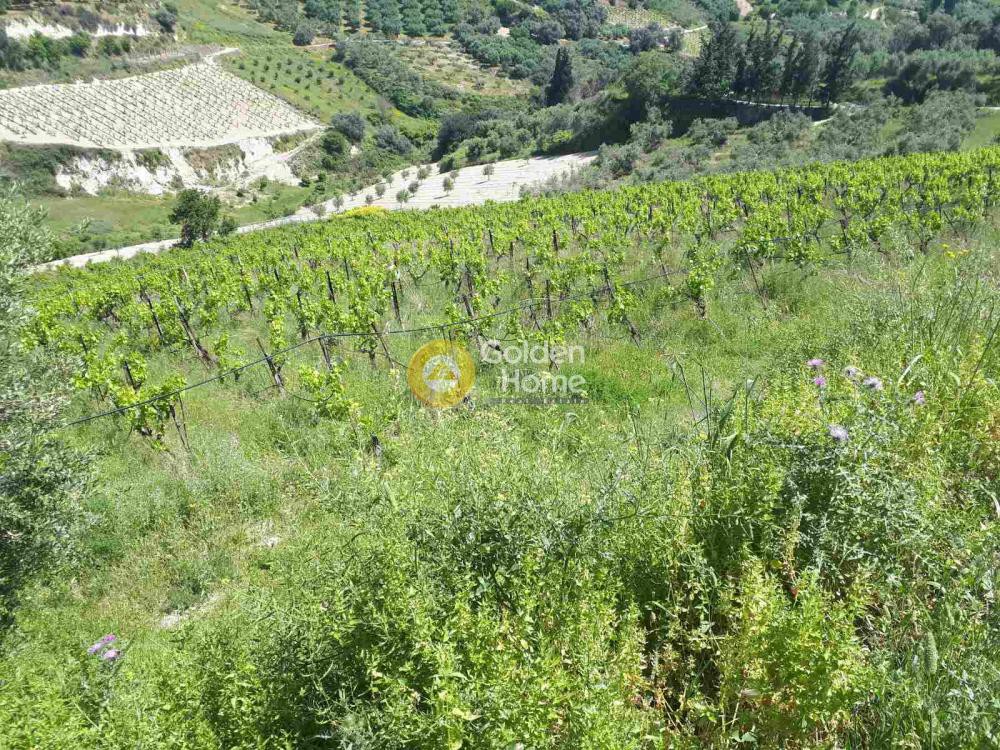 Οικόπεδο 5.860 τ.μ. προς πώληση, Βούτες