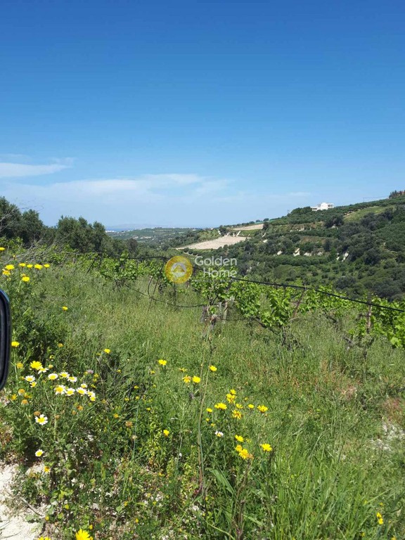 Οικόπεδο 5.860 τ.μ. προς πώληση, Βούτες