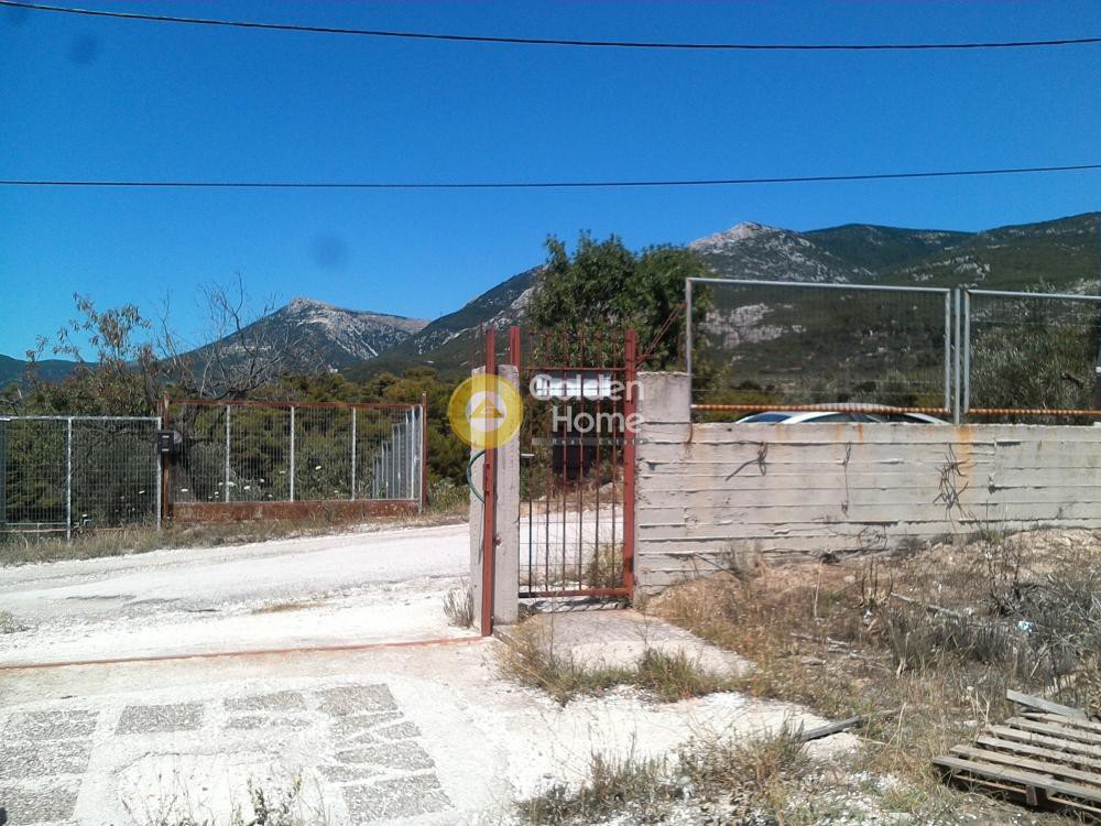 Αγροτεμάχια 5.000 τ.μ. προς πώληση, Βαρυμπόμπη
