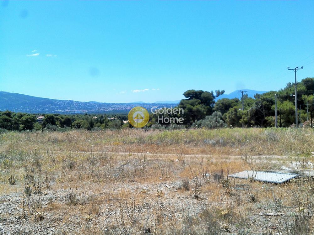 Αγροτεμάχια 5.000 τ.μ. προς πώληση, Βαρυμπόμπη
