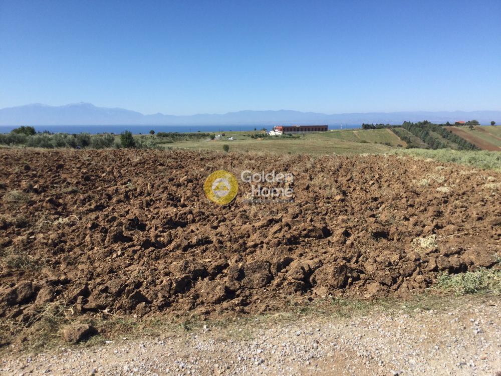 Αγροτεμάχια 5.200 τ.μ. προς πώληση, Κέντρο Επανομής