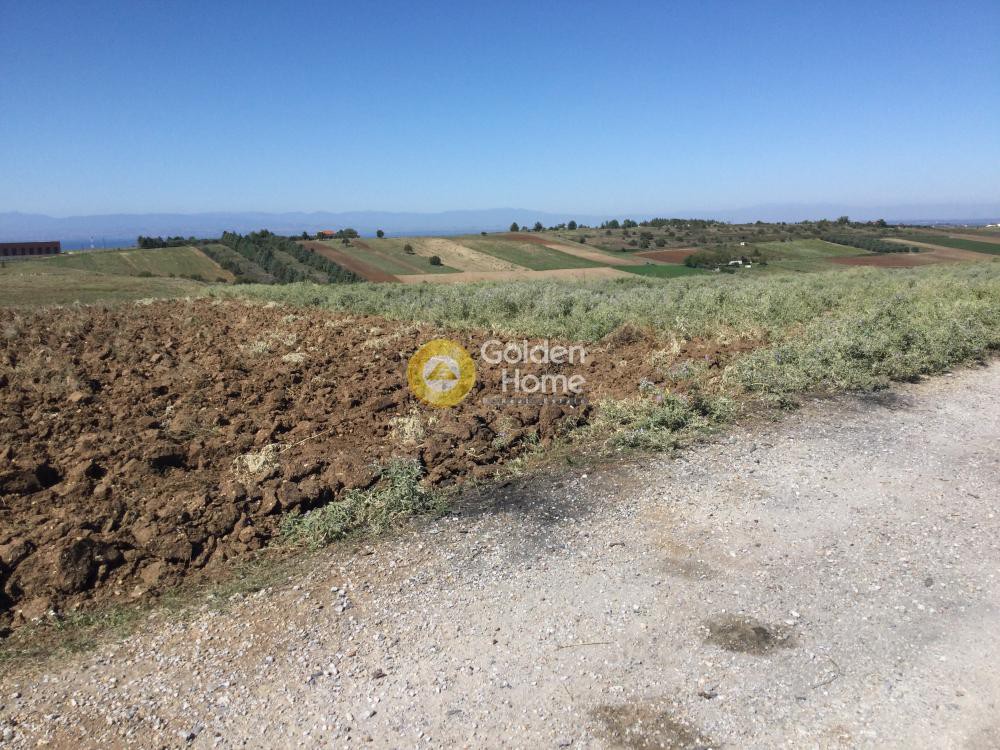 Αγροτεμάχια 5.200 τ.μ. προς πώληση, Κέντρο Επανομής