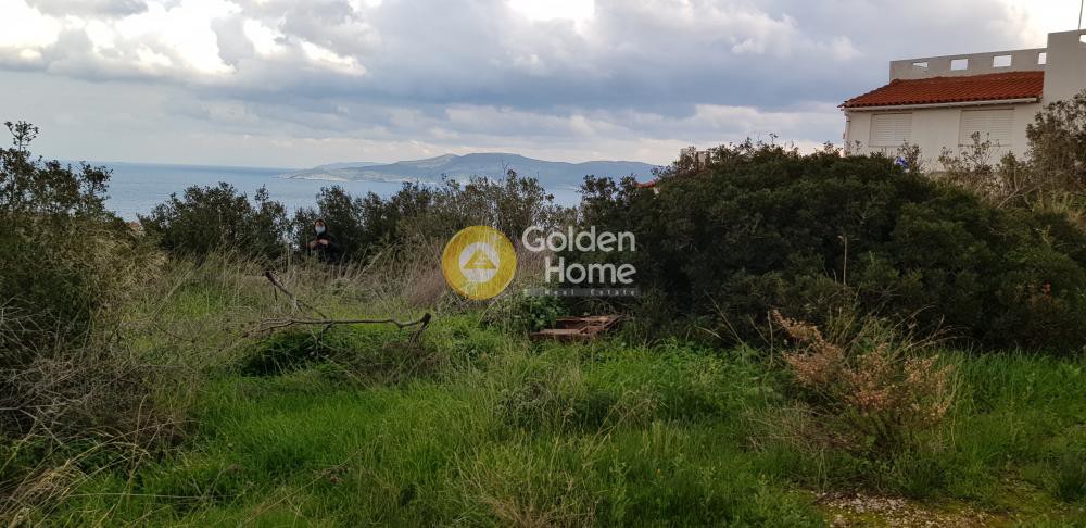 Αγροτεμάχια 500 τ.μ. προς πώληση, Πόρτο Εννιά