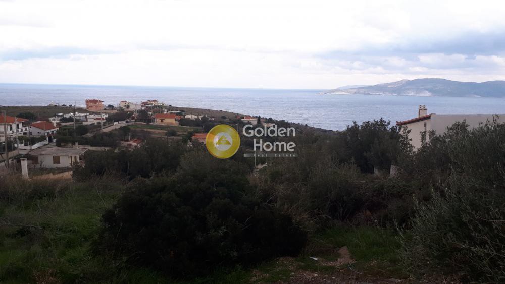 Αγροτεμάχια 500 τ.μ. προς πώληση, Πόρτο Εννιά