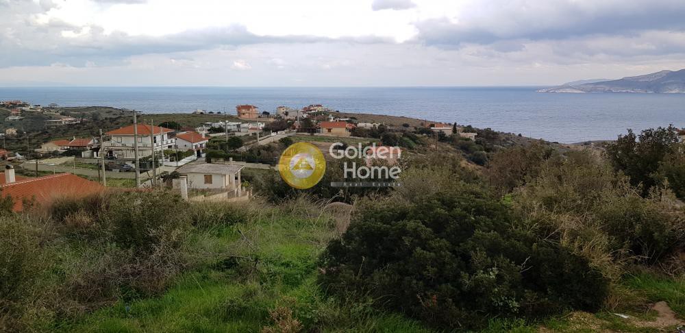 Αγροτεμάχια 500 τ.μ. προς πώληση, Πόρτο Εννιά