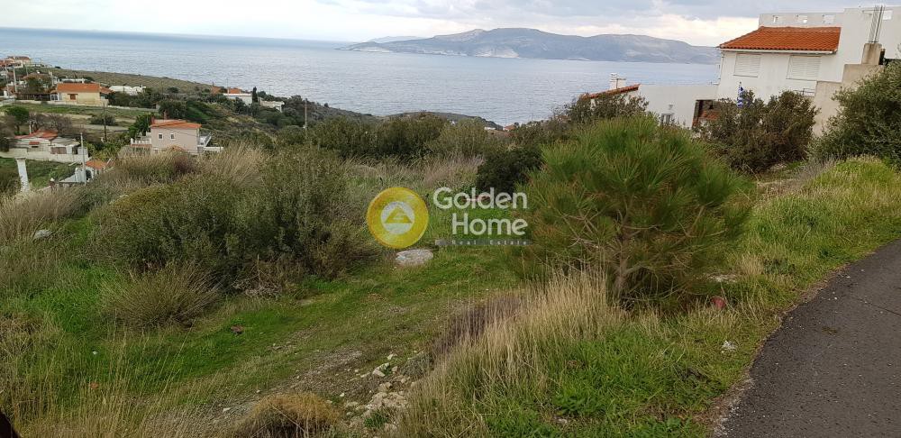 Αγροτεμάχια 500 τ.μ. προς πώληση, Πόρτο Εννιά