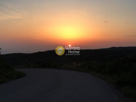 Οικόπεδο 16.000τ.μ. για πώληση-Ελάτιο » Καμπί