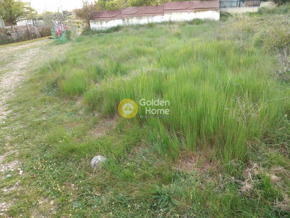 Οικόπεδο 180 τ.μ. προς πώληση, Μεγάλα Σχοινία Α