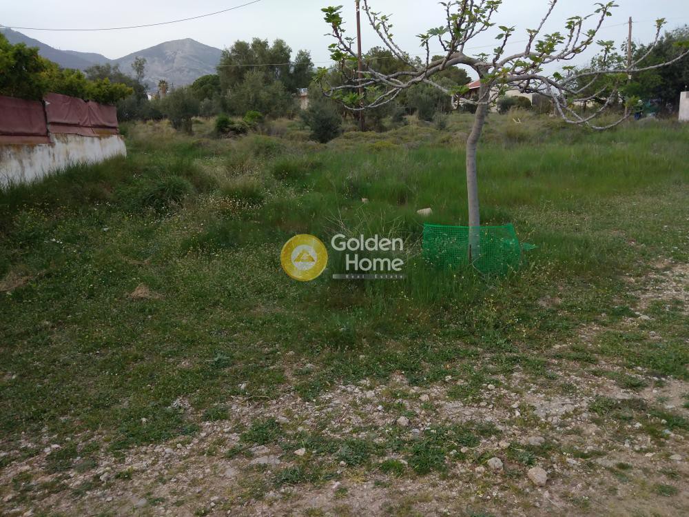 Οικόπεδο 180 τ.μ. προς πώληση, Μεγάλα Σχοινία Α
