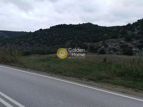 Οικόπεδο 3.300τ.μ. για πώληση-Δίρφυς » Μαυρόπουλο