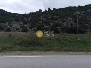 Οικόπεδο 3.300 τ.μ. πρός πώληση, Εύβοια, Δίρφυς-thumb-1