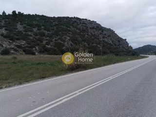 Οικόπεδο 3.300 τ.μ. πρός πώληση, Εύβοια, Δίρφυς-thumb-3