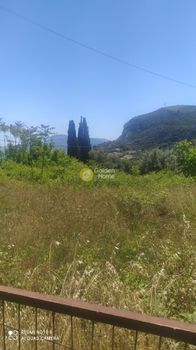 Οικόπεδο 850τ.μ. για πώληση-Κύμη » Γραμματικιάνοι
