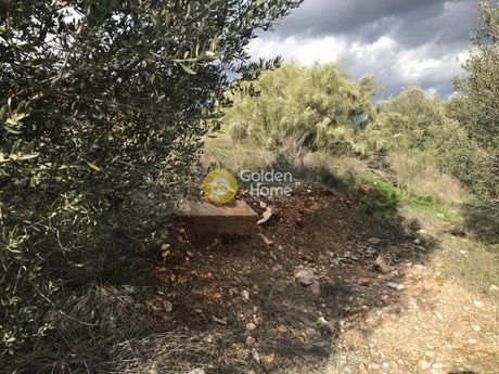Οικόπεδο 18.000τ.μ. για πώληση-Κορωπί » Κέντρο