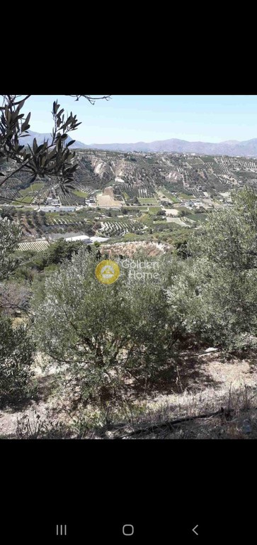 Οικόπεδο 12.000 τ.μ. προς πώληση, Σταυράκια