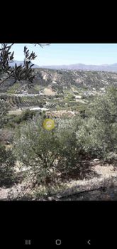 Οικόπεδο 12.000τ.μ. για πώληση-Ηράκλειο κρήτης » Σταυράκια