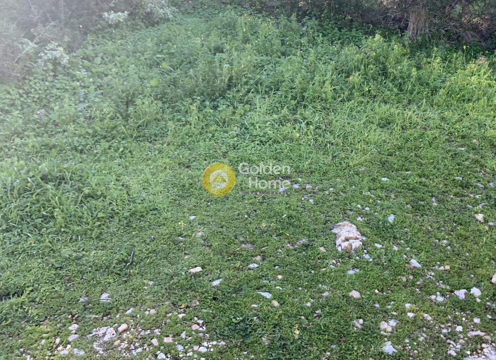 Οικόπεδο 735 τ.μ. προς πώληση, Άγιος Νικόλαος Αναβύσσου