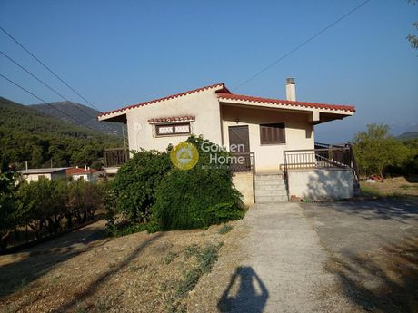 Μονοκατοικία 140τ.μ. για πώληση-Βίλια » Κρύο πηγάδι
