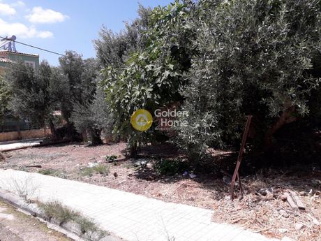 Οικόπεδο 230τ.μ. για πώληση-Γέρακας » Μπάλανα