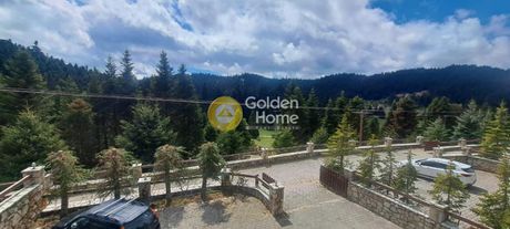 Maisonette 300sqm for sale-Parnassos » Eptalofos