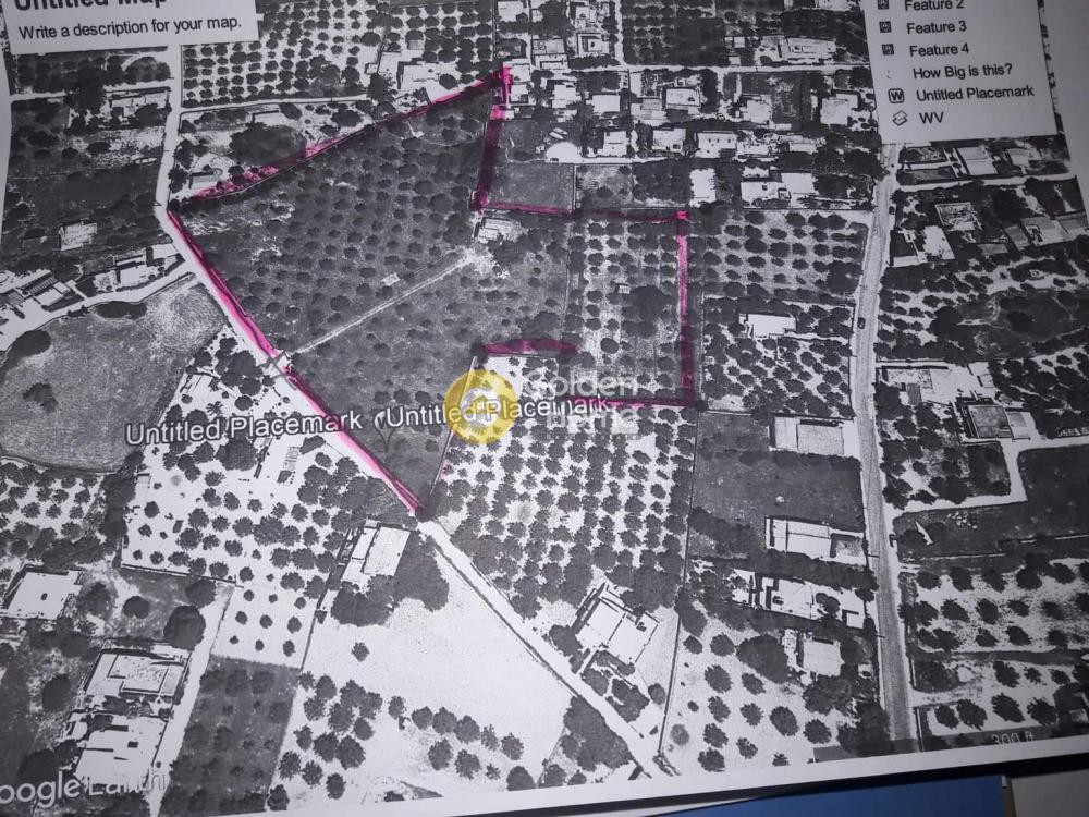 Οικόπεδο 14.000 τ.μ. προς πώληση, Λιβάδι Αίγινας