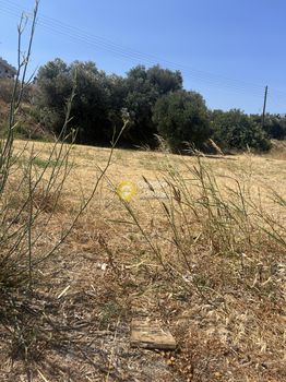 Οικόπεδο 2.750τ.μ. για πώληση-Γάζι » Σκαφιδαράς