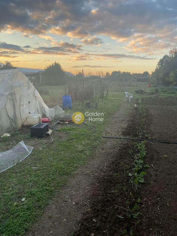 Αγροτεμάχια 3.500 τ.μ. προς πώληση, Νέα Ραιδεστός