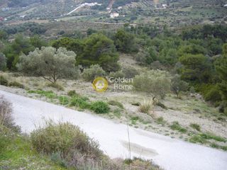 Αγροτεμάχια 5.800 τ.μ. για πώληση