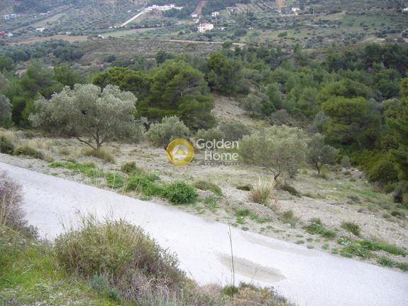 Parcel 5.800 sqm for sale, Rest Of Attica, Kouvaras