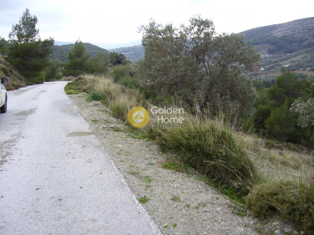 Αγροτεμάχια 5.800 τ.μ. προς πώληση, Μονή Μεταμόρφωσης Σωτήρα