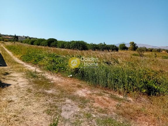 Parcel 5.300 sqm for sale, Athens - East, Spata