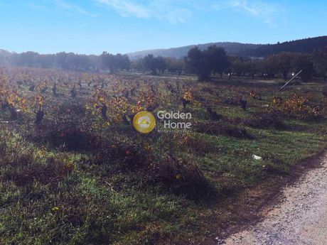 Parcel 6.400sqm for sale-Paiania » Argithea