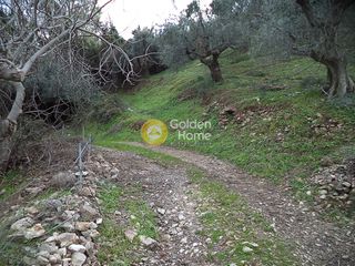 Αγροτεμάχια 21.560 τ.μ. για πώληση