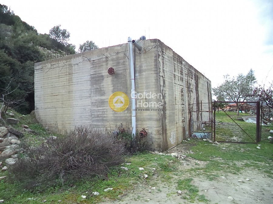 Αγροτεμάχια 21.560 τ.μ. προς πώληση, Άγιος Νικόλαος Αιγίου