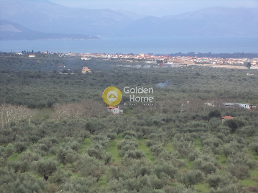 Αγροτεμάχια 21.560 τ.μ. προς πώληση, Άγιος Νικόλαος Αιγίου