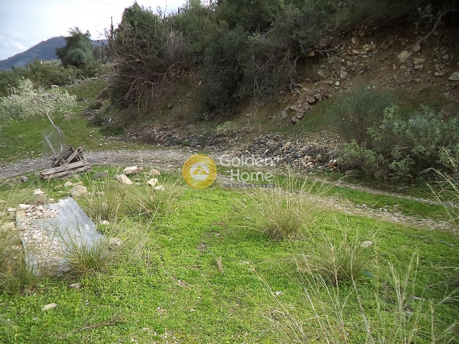Αγροτεμάχια 21.560 τ.μ. προς πώληση, Άγιος Νικόλαος Αιγίου