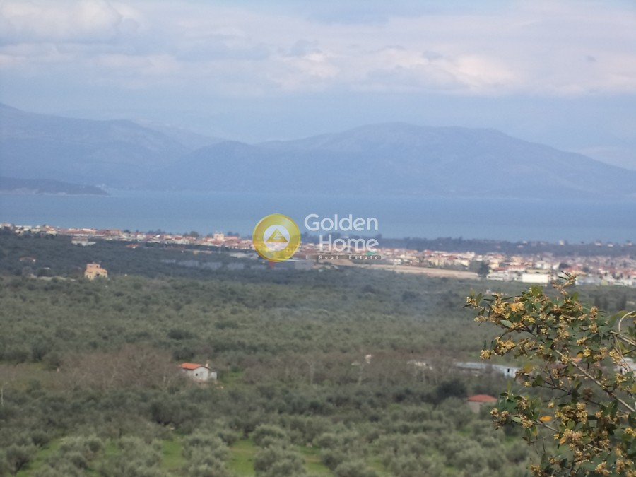 Αγροτεμάχια 21.560 τ.μ. προς πώληση, Άγιος Νικόλαος Αιγίου