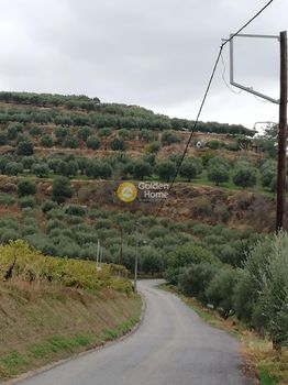 Land plot 5.000sqm for sale-Heraclion Cretes » Gournes