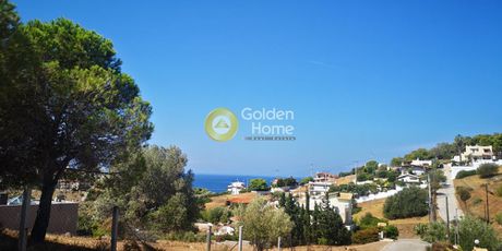 Αγροτεμάχια 550τ.μ. για πώληση-Ανάβυσσος » Μαύρο λιθάρι