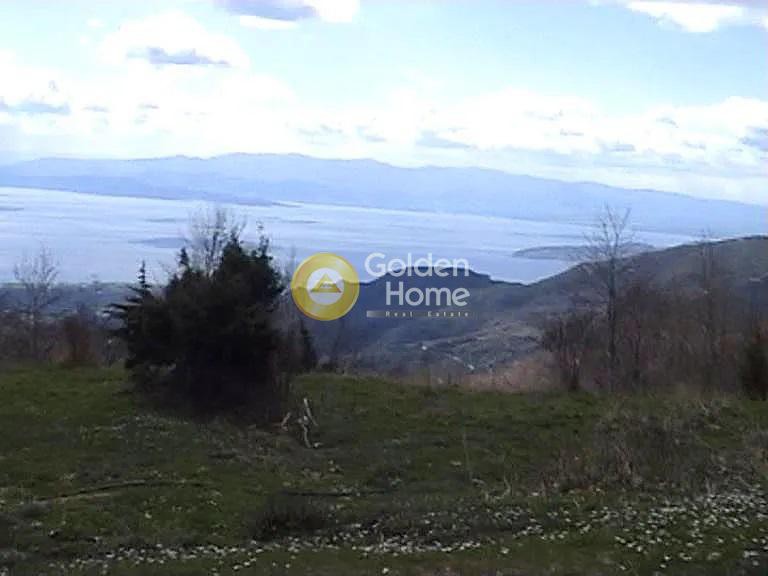 Οικόπεδο 77.094 τ.μ. πρός πώληση, Μαγνησία, Αγριά