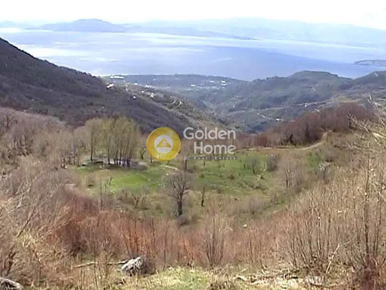 Οικόπεδο 77.094 τ.μ. πρός πώληση, Μαγνησία, Αγριά