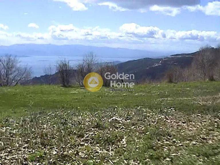 Οικόπεδο 77.094 τ.μ. πρός πώληση, Μαγνησία, Αγριά