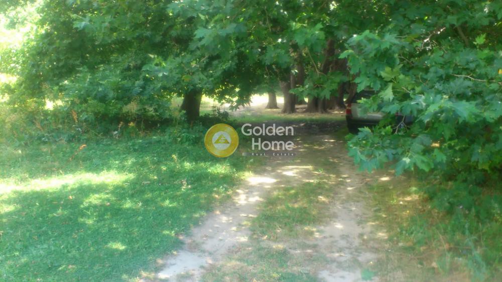 Οικόπεδο 77.094 τ.μ. πρός πώληση, Μαγνησία, Αγριά